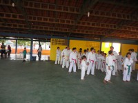 /album/galera-elite-/artes-marciais-jpg/